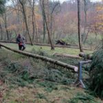 Tannenbaum schlagen verladen Kelmis Wald Interessengemeinschaft IG der Ortsvereine Nütheim Schleckheim Kapellenverein