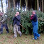 Tannenbaum schlagen verladen Kelmis Wald Interessengemeinschaft IG der Ortsvereine Nütheim Schleckheim Kapellenverein