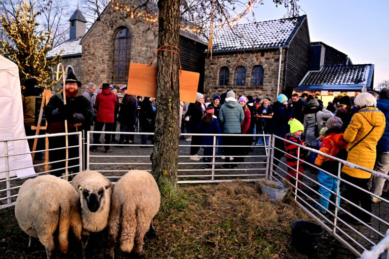Kleine Dorfweihnacht 2024 Schafe Hirte auf dem Feld
