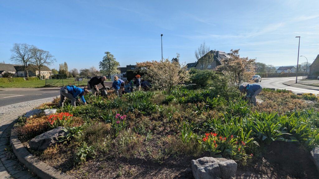 Kapellenverein Schleckheim Interessengemeinschaft IG der Ortsvereine Nütheim-Schleckheim Kreisverkehr Blumenbeet Pflege Ehrenamt