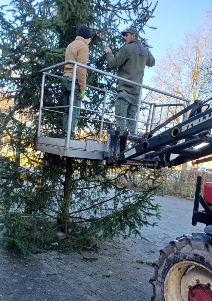 Kapellenverein Schleckheim Abbau Tannenbaum Weihnachtsbaum 2025 2026 Arbeitsbühne Hubsteiger Dorfplatz
